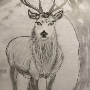 The Stag by Nisha Lino