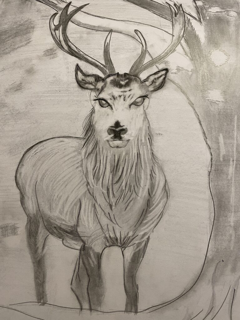 The Stag by Nisha Lino